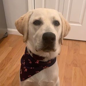 Meet your Posher, Bridget